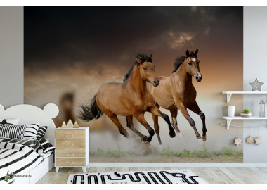 Állatos poszter TPALL066